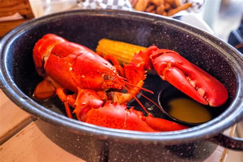 parisporn lobster <cite> Millions of porn tubes on the menu</cite>