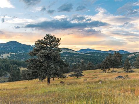 parker colorado bed and breakfast  12858 Ironstone Way, Parker, CO 80134