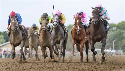 parx racing live odds com, your official source for horse racing results, mobile racing data, statistics as well as all other horse racing and thoroughbred racing information