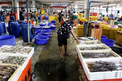 pasar ikan segar terdekat Beli Lobster Laut terdekat & berkualitas harga murah 2023 terbaru di Tokopedia! ∙ Promo Pengguna Baru ∙ Kurir Instan ∙ Bebas Ongkir ∙ Cicilan 0%