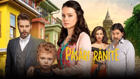 pasari ranite ep 1 Cuvinte cheie:Episodul 25 din serialul Pasari ranite, Pasari ranite Ep 25 Online subtitrat, Pasari ranite Sezonul 1 Episodul 25 Tradus in Romana, Pasari ranite Serial Turcesc Online HD