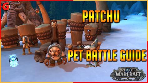 patchu pet battle The answer is yes, you can pet battle with a friend, but there are a few things you should keep in mind