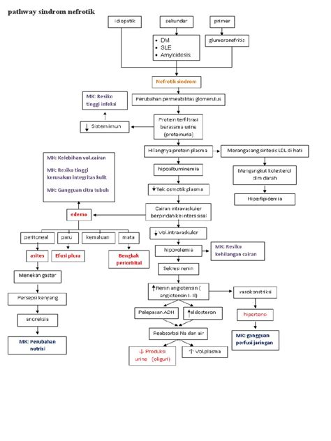 pathway sindrom nefrotik Pathway Sindrom Nefrotik