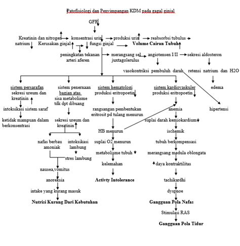 patofisiologi gagal ginjal akut  • Ct –scan , radiologi, usg