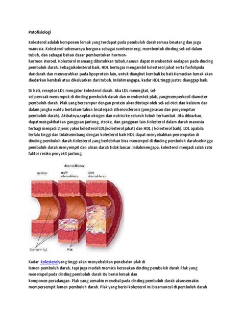 patofisiologi kolesterol  2