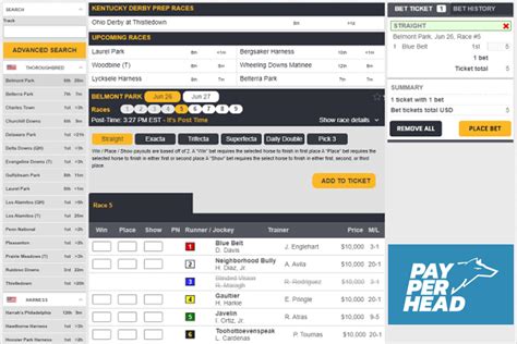 pay per head racebook  Power Pay Per Head starts by rewarding you with a few weeks of free trial and a personal agent to help you with