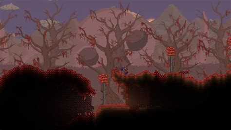 pena de osso terraria  Uso