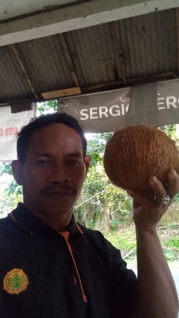 pengepul batok kelapa ac