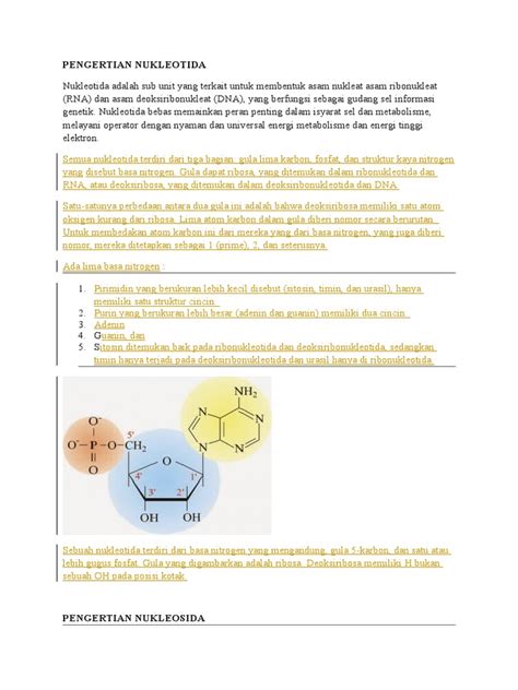 pengertian nukleotida  Sintesis protein secara singkat dapat didefinisikan sebagai proses penerjemahan informasi yang ada pada DNA (sumber materi genetik) yang mengkode asam-asam amino sehingga menjadi rantai peptida (rantai protein)