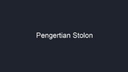 pengertian stolon 1