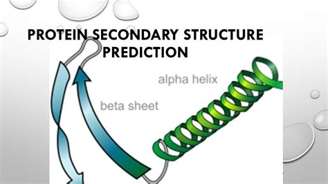 peptide secondary structure prediction  To allocate the secondary structure, the DSSP algorithm finds whether there is a hydrogen bond between amino acids and assigns one of eight secondary structures according to the pattern of the hydrogen bonds in the local