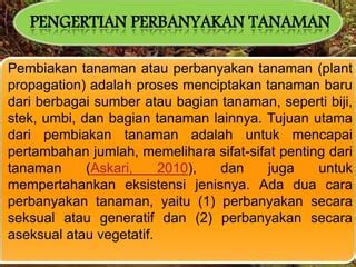 perbanyakan tanaman adalah  (3) lebih mudah diperbanyak