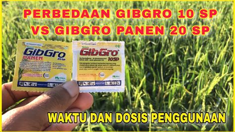 perbedaan gibgro 10 sp dan 20 sp  N