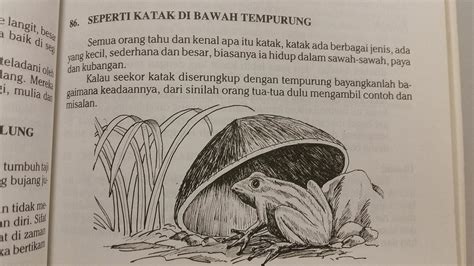 peribahasa bagai katak dalam tempurung Jangan jadikan diri kita seperti ‘katak dalam perigi’ dalam peribahasa Cina atau ‘katak dalam tempurung’ dalam peribahasa Melayu,” katanya