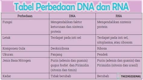 persamaan dna dan rna  pita RNA D