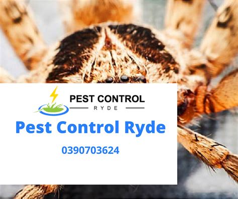 pest control denistone east  Denistone East Your Local Denistone East Pest Control Specialist