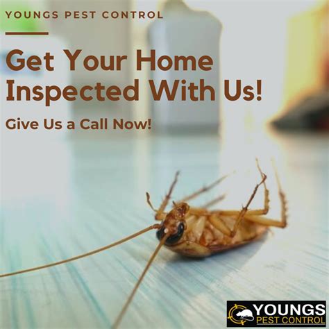 pest control south kirkby  Call: +441977609212