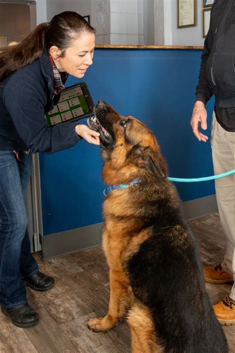 pet boarding snohomish  Snohomish, WA 98290