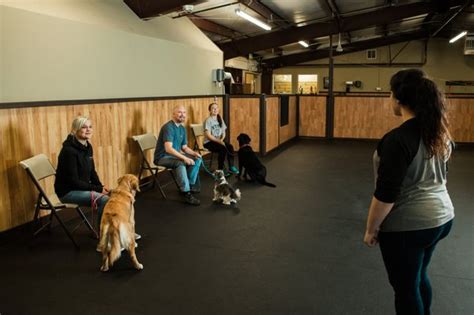 pet boarding woodinville  Capitalize on your pet’s stay at our dog daycare with dog training services