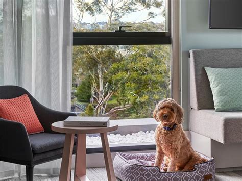 pet friendly accommodation currumbin  Rent a holiday home, apartment or cottage in Currumbin from just $170 per night