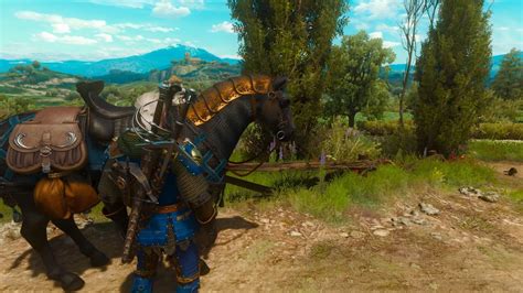 pet roach witcher 3  In White Orchard, there are a total of six locations gamers will want to
