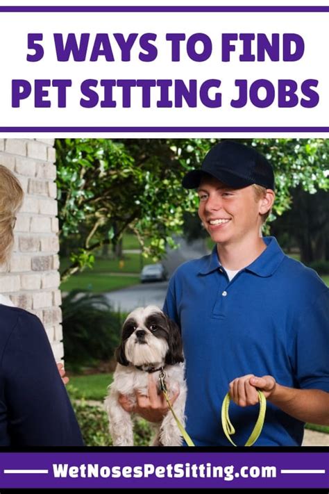 pet sitting jobs brisbane  animal attendant jobs