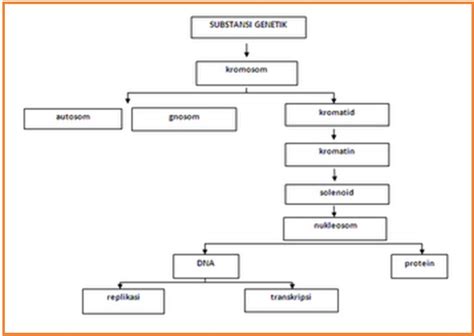 peta konsep substansi genetika upi