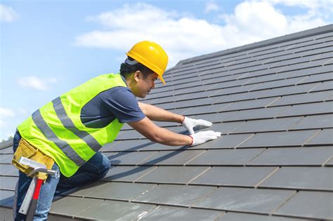 petaluma roofing contractor  maximum term