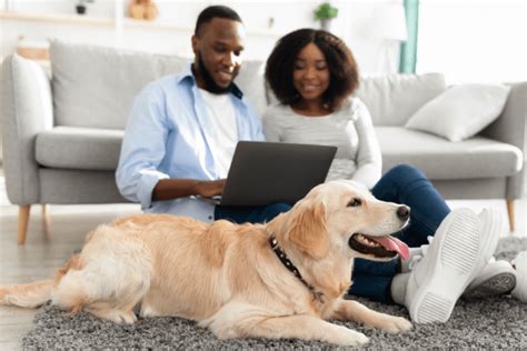 petfriends  Once you’re approved you will have the opportunity to speak with the foster to find out more detailed information about the dog you applied for