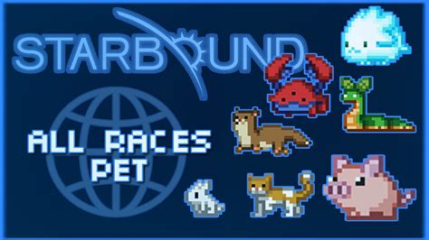 pets starbound  Humans get a cat