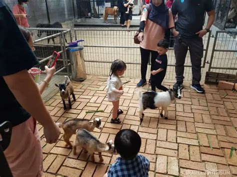 petting zoo kota damansara About Press Copyright Contact us Creators Advertise Developers Terms Privacy Policy & Safety How YouTube works Test new features NFL Sunday Ticket Press Copyright