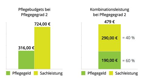 pflegegrad 2 haushaltshilfe 1