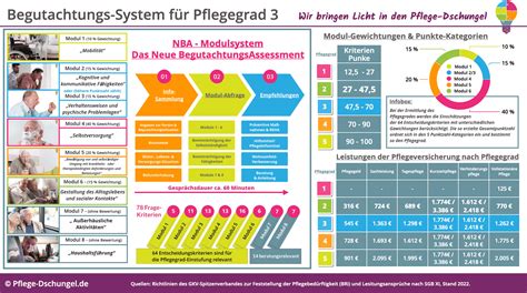 pflegestunden pro woche pflegegrad 3 