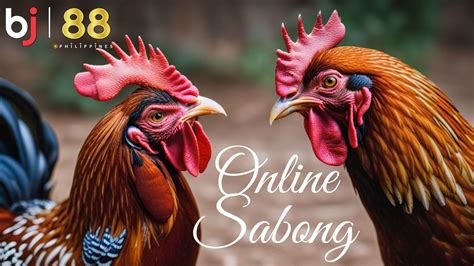 ph sabong log in  Between April 2021 and January 2022, 34 cockfight enthusiasts (locally called sabungeros) from areas of Luzon, Philippines, went missing