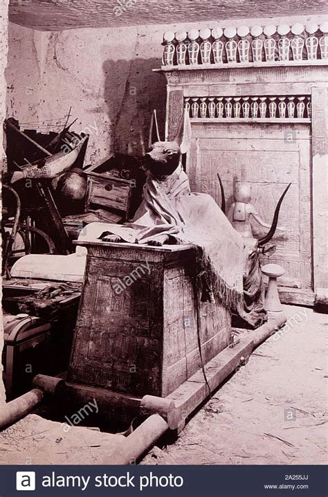 pharaoh tomb echtgeld  The falcon has flown to the skies and his successor arises in his place