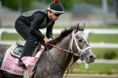 pimlico race results  Ran a close fourth in