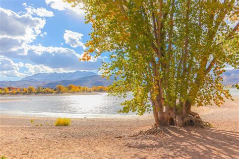 pineview reservoir reservations  Enjoy boat launch access, horseshoes, volleyball, fishing, swimming, picnicking, baoting, and more! Dogs are welcome in all areas, except the B area