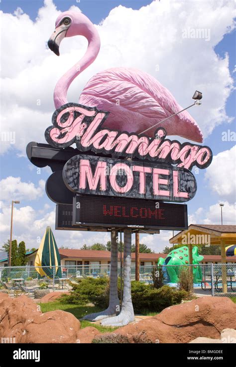 pink flamingo hotel wisconsin dells  Fire at Flamingo Motel in Lake Delton (WHSV) Published: