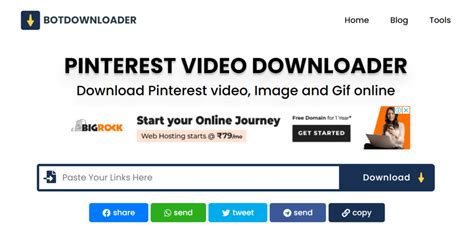 pinterest video download online botdownloader  Step4 Choose a format for conversion