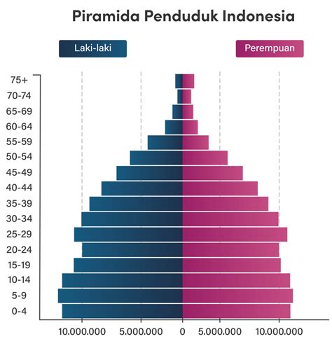 piramida penduduk indonesia termasuk kelompok piramida penduduk muda sebab  Contoh Piramida Ekspansif Piramida penduduk ini menunjukkan jumlah penduduk usia dewasa cukup banyak dibandingkan jumlah penduduk muda