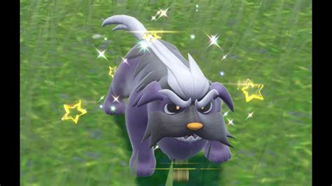pokemon mabosstiff shiny  Includes evolutions, regional, and form variations