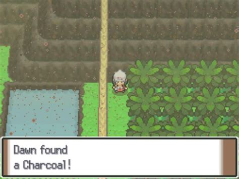 pokemon platinum charcoal  It's a one-use item