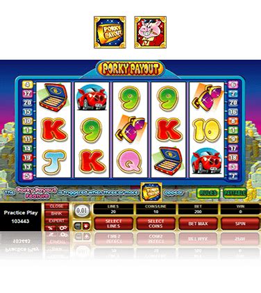 porky payout microgaming 00