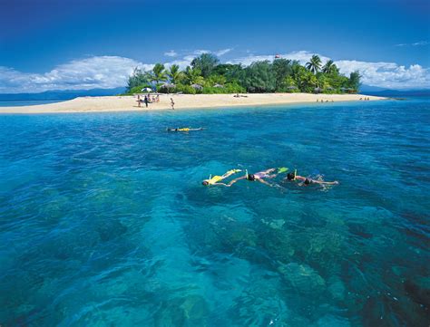 port douglas snorkeling tours ABC Snorkel Charters Port Douglas from