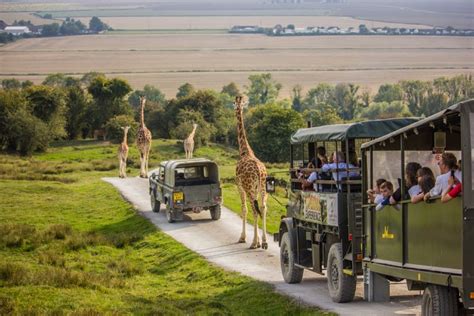 port lympne zoo opening times 30pm (last entry 3