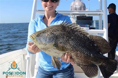 poseidon fishing charters reviews  Going into our fishing trip I was very leery that we would even have a great trip