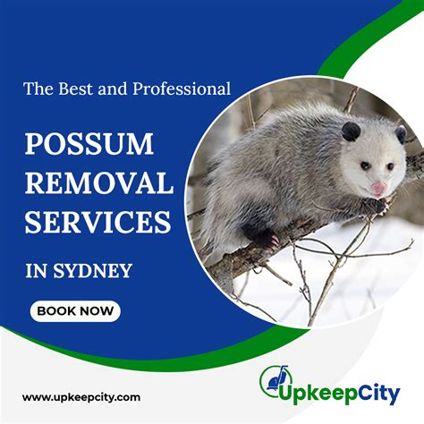 possum removal bundanoon  1800 Possums is the leading possum removal service in Melbourne and Brisbane