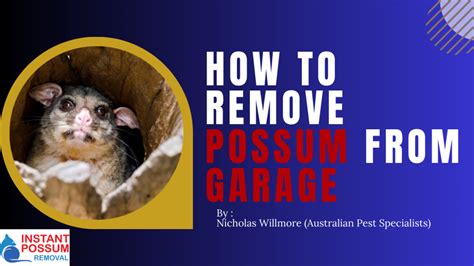 possum removal colongra Alpha Pest Control is a leading provider of pest control services in Bendigo, Australia, and offers a highly effective emergency possum removal service