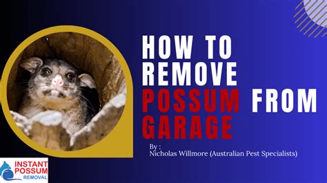 possum removal toukley  We warranty all of our work and offer a renewable yearly warranty if you would