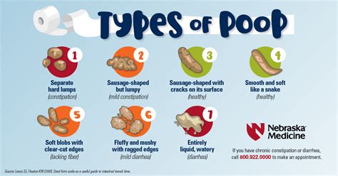 pphop meaning  People who experience chronic constipation or who have a history of bowel obstruction can develop something called megacolon